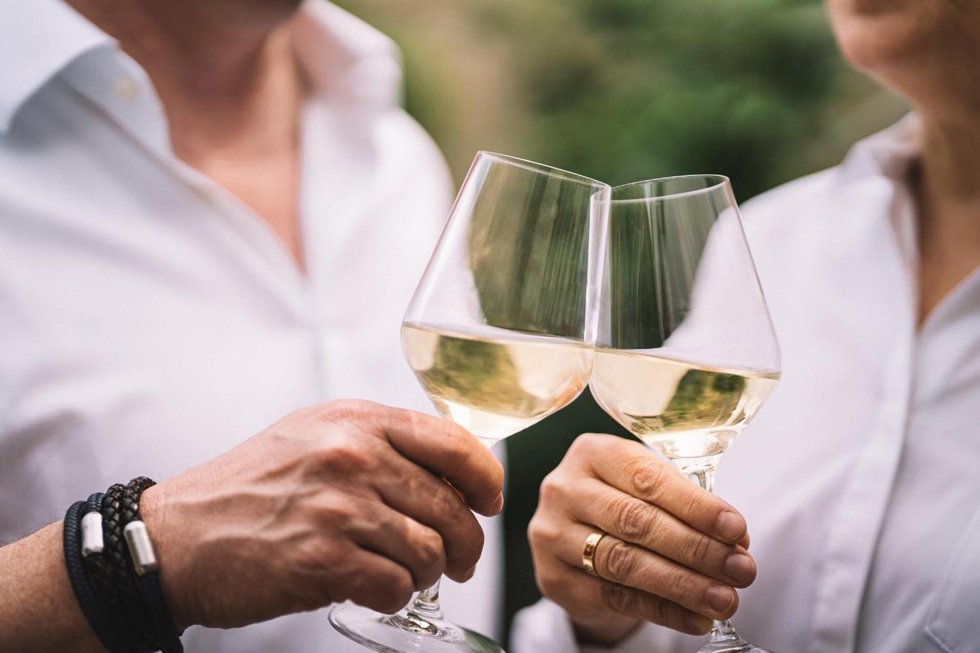 Weingut Petershof Daire Alzey Dış mekan fotoğraf