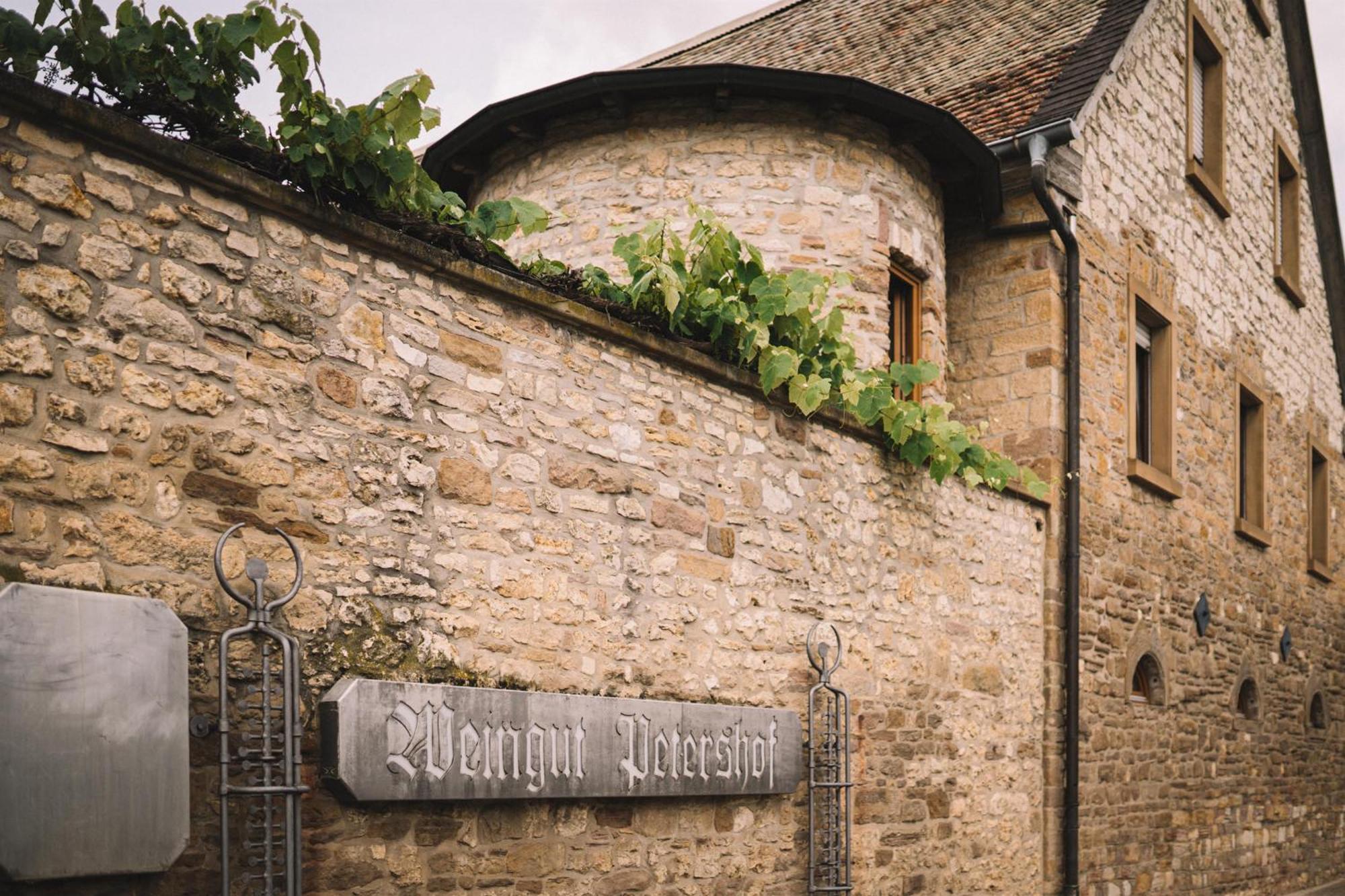 Weingut Petershof Daire Alzey Dış mekan fotoğraf